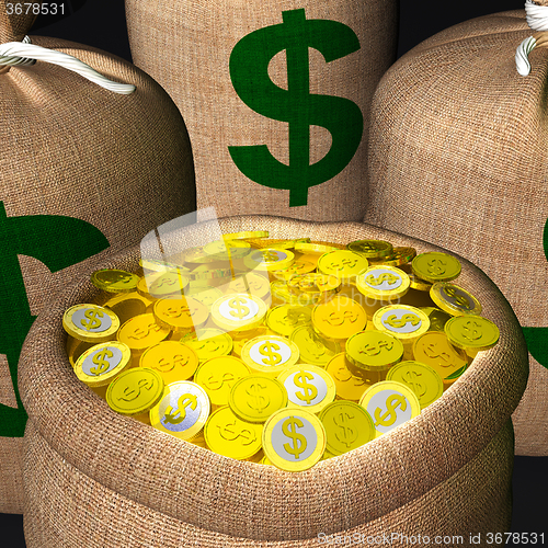 Image of Bags Of Coins Shows American Wealth