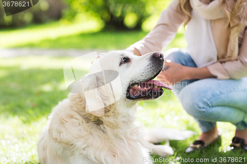 Image of close up of woman with labrador dog on walk