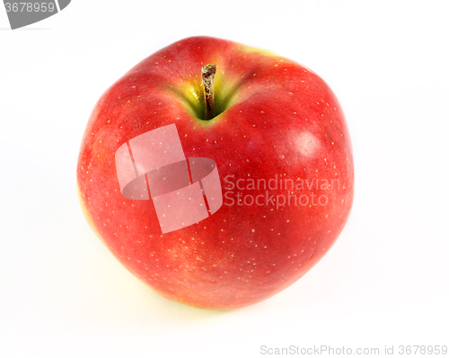 Image of Delicious fruit red Apple 