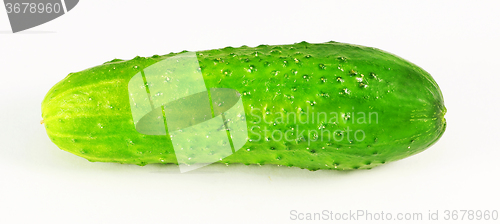 Image of tasty vegetable cucumber  