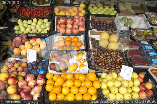 Image of EUROPE PORTUGAL PORTO MARKET MERCADO DO BOLHAO