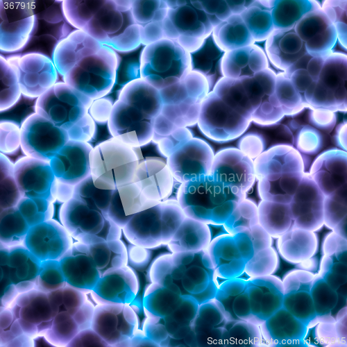 Image of cells