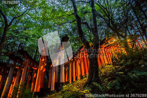 Image of Fushimi Inari Taisha Shrine, Kyoto, Japan.