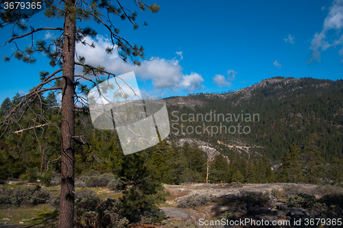 Image of Yosemite Valley View