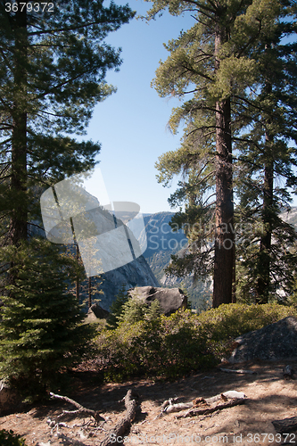 Image of Hiking in forest