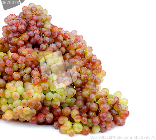 Image of Heap of Sultana Grape