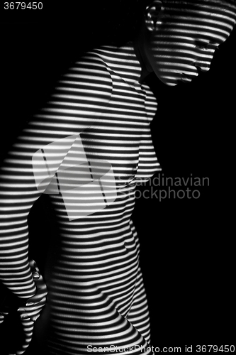 Image of The  body of woman with black and white zebra stripes