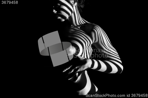 Image of The  body of woman with black and white zebra stripes