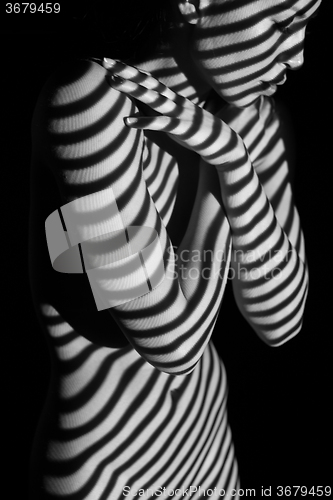 Image of The  body of woman with black and white zebra stripes