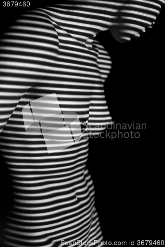 Image of The  body of woman with black and white zebra stripes