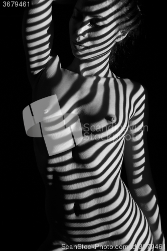 Image of The  body of woman with black and white zebra stripes