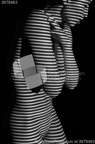 Image of The  body of woman with black and white zebra stripes