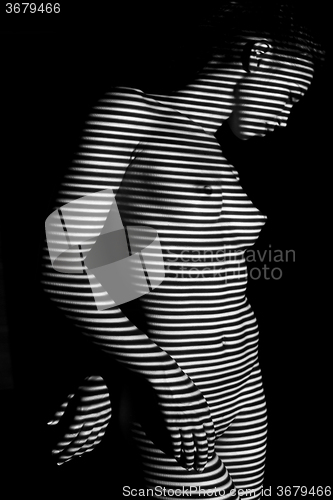 Image of The  body of woman with black and white zebra stripes