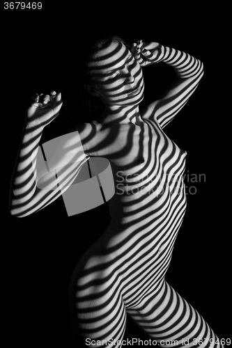 Image of The  body of woman with black and white zebra stripes