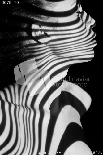 Image of The face of woman with black and white zebra stripes