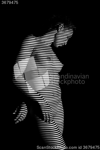 Image of The  body of woman with black and white zebra stripes