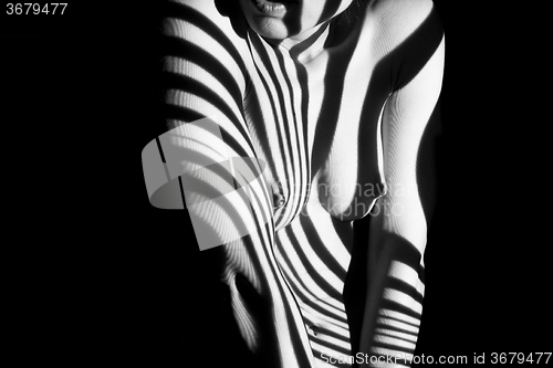 Image of The  body of woman with black and white zebra stripes