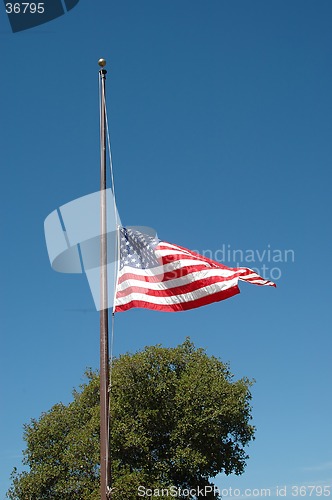 Image of Half staff