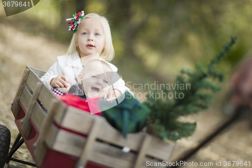Image of Baby Brother and Sister Pulled in Wagon with Christmas Tree