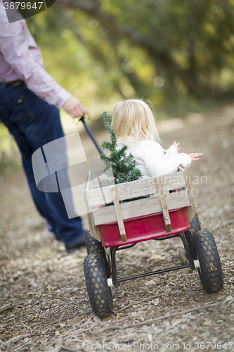 Image of Father Pulls Baby Girl in Wagon with Christmas Tree
