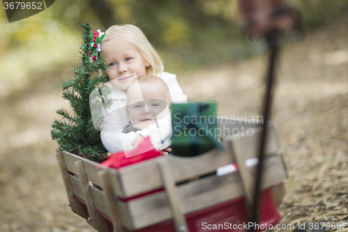 Image of Baby Brother and Sister Pulled in Wagon with Christmas Tree