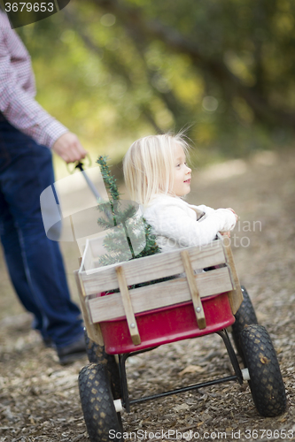 Image of Father Pulls Baby Girl in Wagon with Christmas Tree