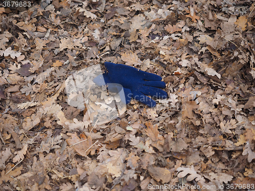 Image of Blue glove
