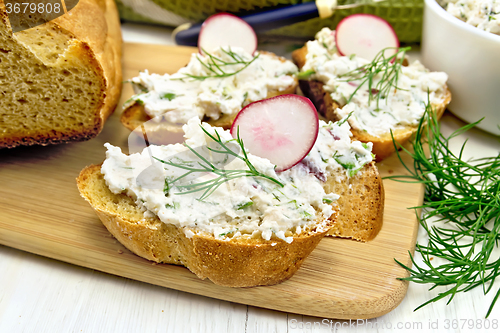 Image of Bread with pate of curd and radish on board