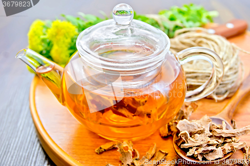 Image of Tea of Rhodiola rosea in glass teapot on tray with spoon