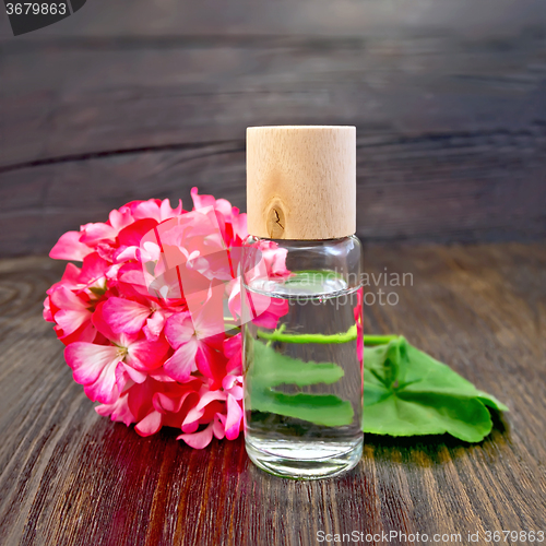 Image of Oil with geraniums on board