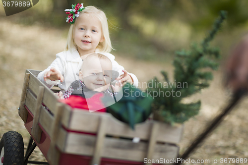 Image of Baby Brother and Sister Pulled in Wagon with Christmas Tree