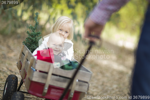 Image of Baby Brother and Sister Pulled in Wagon with Christmas Tree