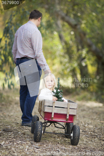 Image of Father Pulls Baby Girl in Wagon with Christmas Tree