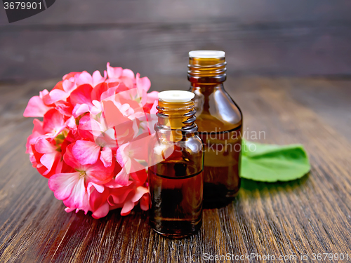 Image of Oil with pink geraniums on board