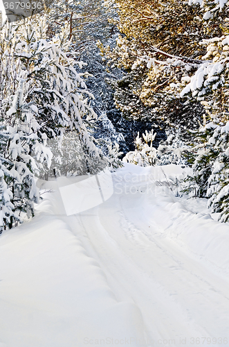 Image of Road dirt snow-covered