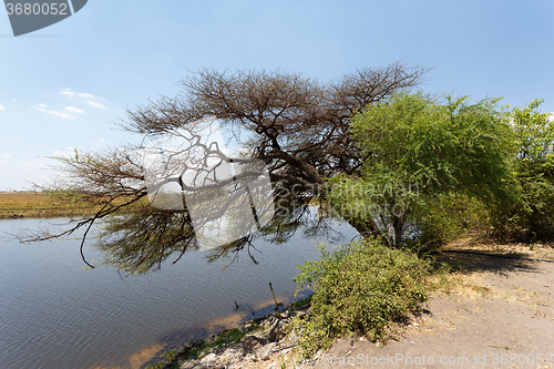 Image of Chobe river Botswana