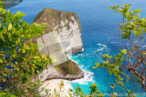 Image of dream Bali Manta Point Diving place at Nusa Penida island