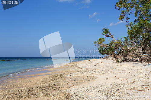 Image of dream beach, Bali Indonesia, Nusa Penida island