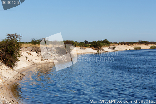 Image of bank of the river zambezi