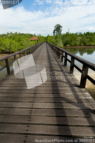 Image of Indonesian landscape with walkway