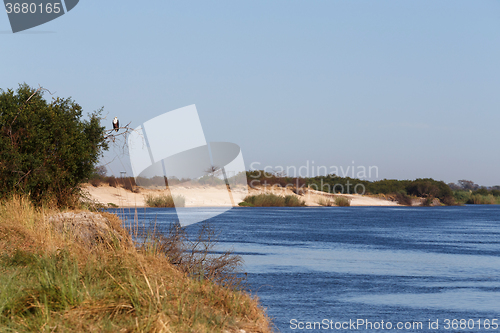 Image of bank of the river zambezi