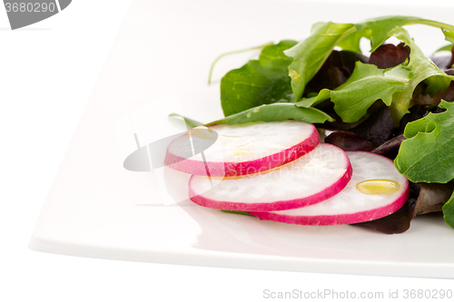 Image of Fresh salad mix