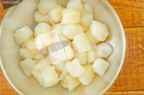 Image of scallop