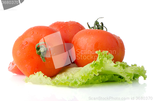 Image of Red tomatoes