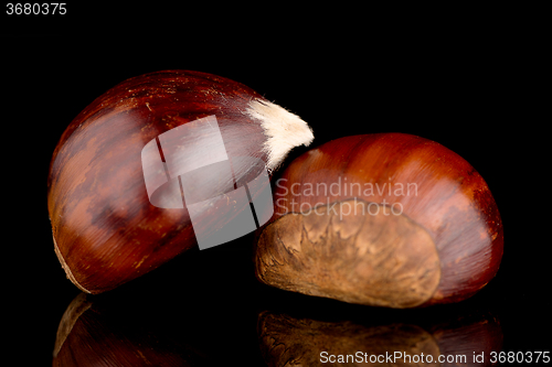 Image of Chestnuts on a black reflective background