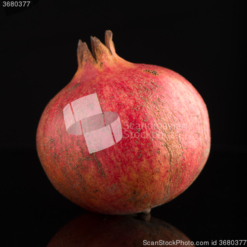 Image of ripe pomegranate fruit