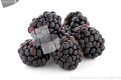Image of Blackberries with leaves