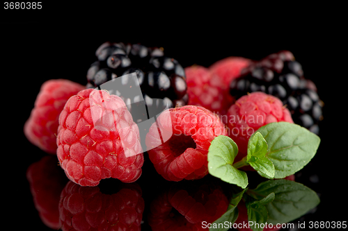 Image of Blackberry and raspberry