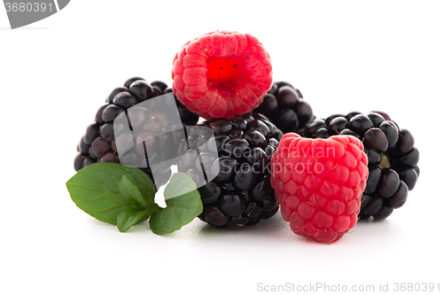 Image of Raspberry with blackberry 