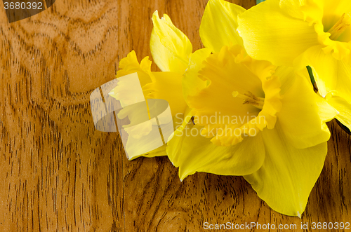 Image of Jonquil flowers